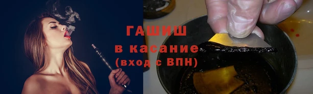 прущие грибы Алексин