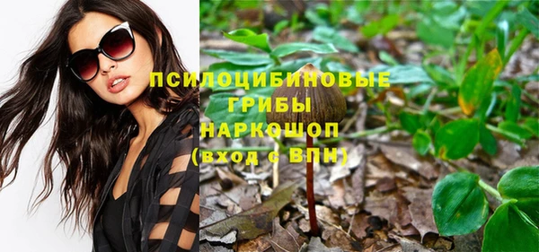 крисы Алексеевка