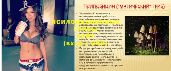 прущие грибы Алексин