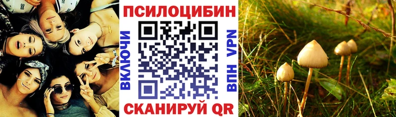 Псилоцибиновые грибы Magic Shrooms  Рыбное 